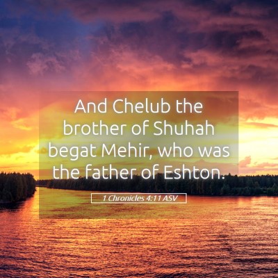 Picture 05 - 1 Chronicles 4:11 ASV - And Chelub the brother of Shuhah begat Mehir, who - Bible Verse Picture