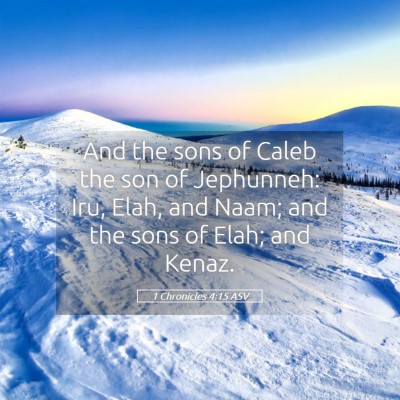 Picture 05 - 1 Chronicles 4:15 ASV - And the sons of Caleb the son of Jephunneh: Iru, - Bible Verse Picture