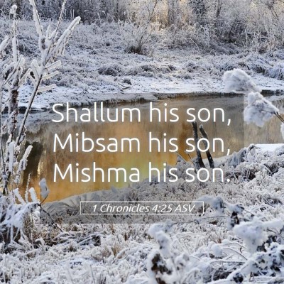 Picture 05 - 1 Chronicles 4:25 ASV - Shallum his son, Mibsam his son, Mishma his - Bible Verse Picture