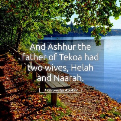 Picture 05 - 1 Chronicles 4:5 ASV - And Ashhur the father of Tekoa had two wives, - Bible Verse Picture
