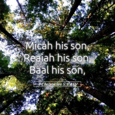 Picture 05 - 1 Chronicles 5:5 ASV - Micah his son, Reaiah his son, Baal his - Bible Verse Picture