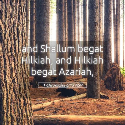 Picture 05 - 1 Chronicles 6:13 ASV - and Shallum begat Hilkiah, and Hilkiah begat - Bible Verse Picture