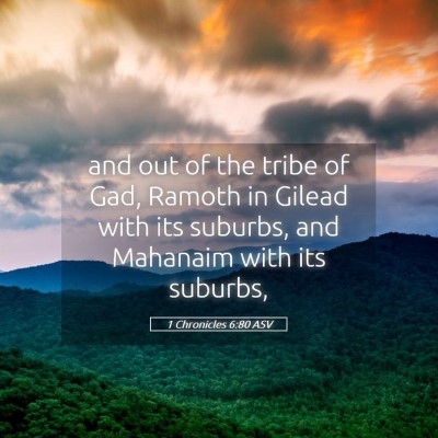 Picture 05 - 1 Chronicles 6:80 ASV - and out of the tribe of Gad, Ramoth in Gilead - Bible Verse Picture