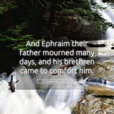 Picture 05 - 1 Chronicles 7:22 ASV - And Ephraim their father mourned many days, and - Bible Verse Picture