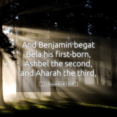 Picture 05 - 1 Chronicles 8:1 ASV - And Benjamin begat Bela his first-born, Ashbel - Bible Verse Picture