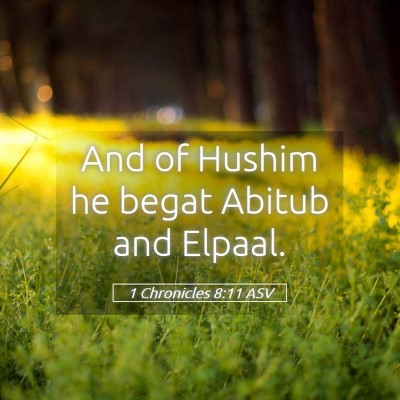 Picture 05 - 1 Chronicles 8:11 ASV - And of Hushim he begat Abitub and - Bible Verse Picture