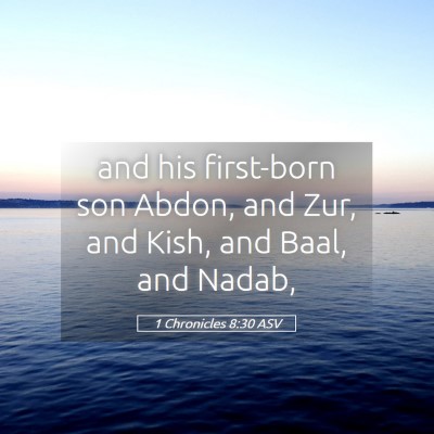 Picture 05 - 1 Chronicles 8:30 ASV - and his first-born son Abdon, and Zur, and Kish, - Bible Verse Picture