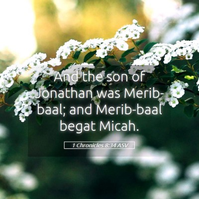 Picture 05 - 1 Chronicles 8:34 ASV - And the son of Jonathan was Merib-baal; and - Bible Verse Picture