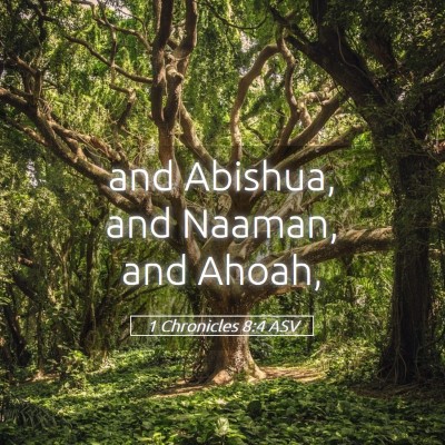 Picture 05 - 1 Chronicles 8:4 ASV - and Abishua, and Naaman, and - Bible Verse Picture