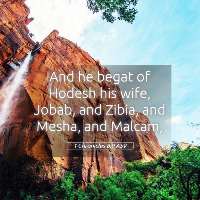 Picture 05 - 1 Chronicles 8:9 ASV - And he begat of Hodesh his wife, Jobab, and - Bible Verse Picture