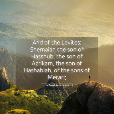 Picture 05 - 1 Chronicles 9:14 ASV - And of the Levites: Shemaiah the son of Hasshub, - Bible Verse Picture