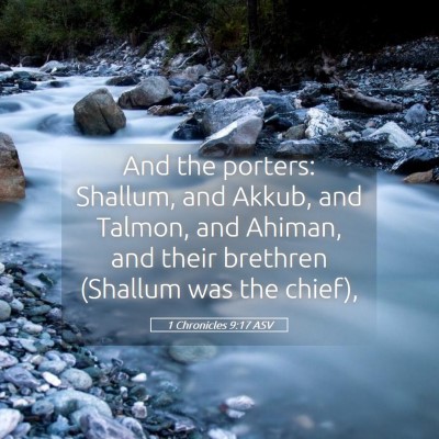 Picture 05 - 1 Chronicles 9:17 ASV - And the porters: Shallum, and Akkub, and Talmon, - Bible Verse Picture