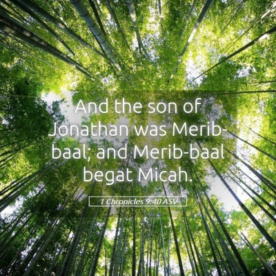 Picture 05 - 1 Chronicles 9:40 ASV - And the son of Jonathan was Merib-baal; and - Bible Verse Picture