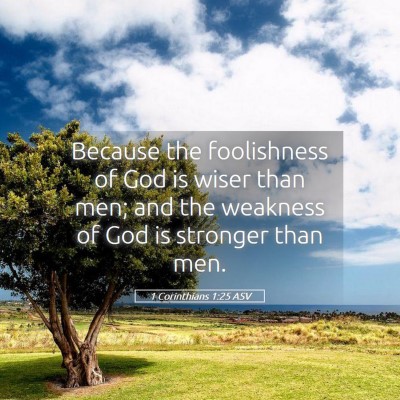 Picture 05 - 1 Corinthians 1:25 ASV - Because the foolishness of God is wiser than men; - Bible Verse Picture