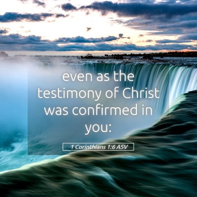 Picture 05 - 1 Corinthians 1:6 ASV - even as the testimony of Christ was confirmed in - Bible Verse Picture