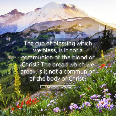 Picture 05 - 1 Corinthians 10:16 ASV - The cup of blessing which we bless, is it not a - Bible Verse Picture