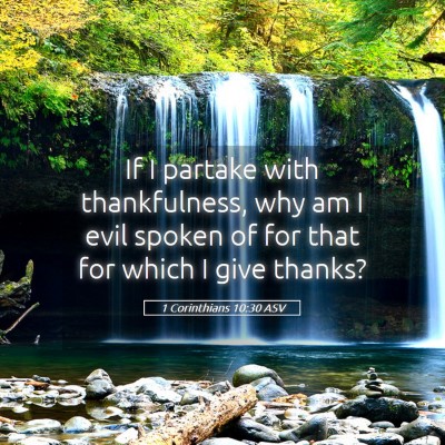 Picture 05 - 1 Corinthians 10:30 ASV - If I partake with thankfulness, why am I evil - Bible Verse Picture