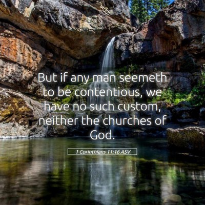 Picture 05 - 1 Corinthians 11:16 ASV - But if any man seemeth to be contentious, we have - Bible Verse Picture