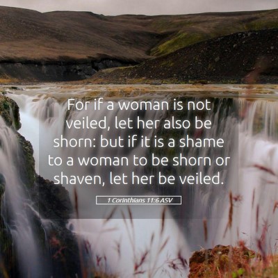 Picture 05 - 1 Corinthians 11:6 ASV - For if a woman is not veiled, let her also be - Bible Verse Picture