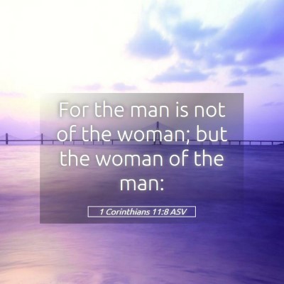 Picture 05 - 1 Corinthians 11:8 ASV - For the man is not of the woman; but the woman of - Bible Verse Picture