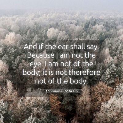 Picture 05 - 1 Corinthians 12:16 ASV - And if the ear shall say, Because I am not the - Bible Verse Picture