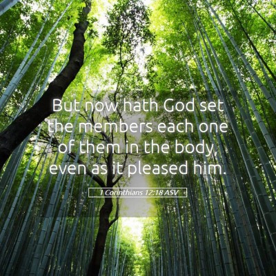 Picture 05 - 1 Corinthians 12:18 ASV - But now hath God set the members each one of them - Bible Verse Picture
