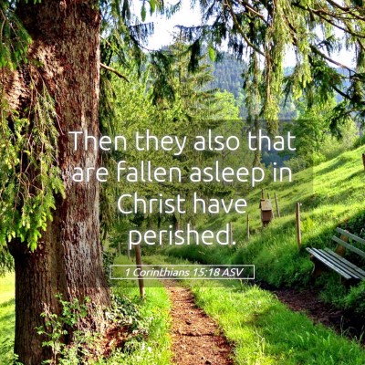 Picture 05 - 1 Corinthians 15:18 ASV - Then they also that are fallen asleep in Christ - Bible Verse Picture