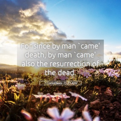 Picture 05 - 1 Corinthians 15:21 ASV - For since by man `came' death, by man `came' also - Bible Verse Picture