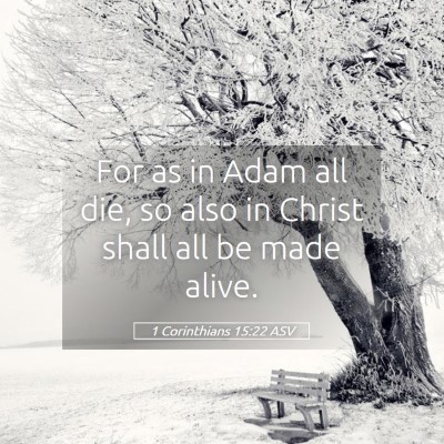 Picture 05 - 1 Corinthians 15:22 ASV - For as in Adam all die, so also in Christ shall - Bible Verse Picture