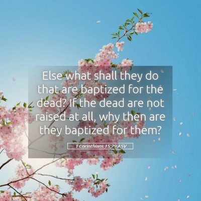 Picture 05 - 1 Corinthians 15:29 ASV - Else what shall they do that are baptized for the - Bible Verse Picture