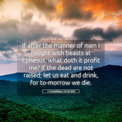 Picture 05 - 1 Corinthians 15:32 ASV - If after the manner of men I fought with beasts - Bible Verse Picture