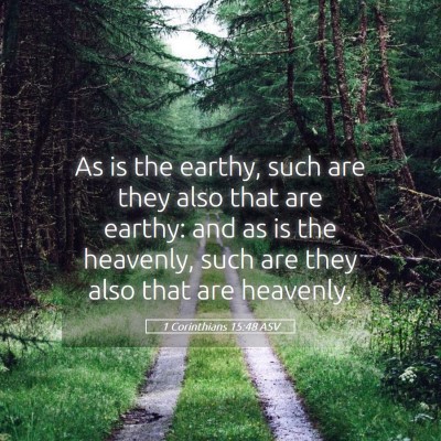 Picture 05 - 1 Corinthians 15:48 ASV - As is the earthy, such are they also that are - Bible Verse Picture