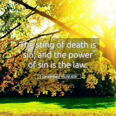 Picture 05 - 1 Corinthians 15:56 ASV - The sting of death is sin; and the power of sin - Bible Verse Picture