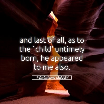 Picture 05 - 1 Corinthians 15:8 ASV - and last of all, as to the `child' untimely born, - Bible Verse Picture