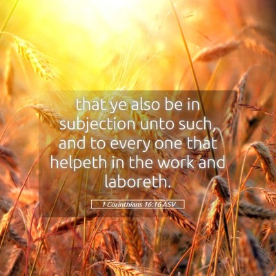 Picture 05 - 1 Corinthians 16:16 ASV - that ye also be in subjection unto such, and to - Bible Verse Picture
