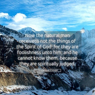 Picture 05 - 1 Corinthians 2:14 ASV - Now the natural man receiveth not the things of - Bible Verse Picture
