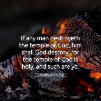Picture 05 - 1 Corinthians 3:17 ASV - If any man destroyeth the temple of God, him - Bible Verse Picture