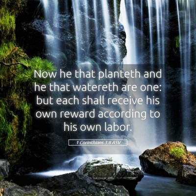 Picture 05 - 1 Corinthians 3:8 ASV - Now he that planteth and he that watereth are - Bible Verse Picture