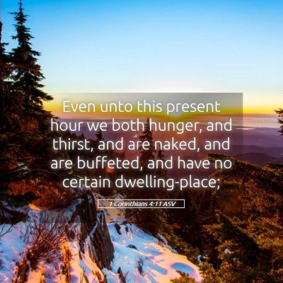 Picture 05 - 1 Corinthians 4:11 ASV - Even unto this present hour we both hunger, and - Bible Verse Picture