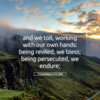Picture 05 - 1 Corinthians 4:12 ASV - and we toil, working with our own hands: being - Bible Verse Picture