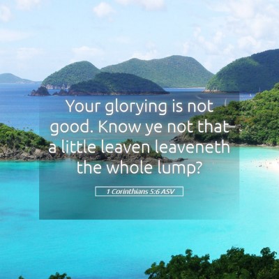 Picture 05 - 1 Corinthians 5:6 ASV - Your glorying is not good. Know ye not that a - Bible Verse Picture