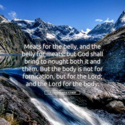 Picture 05 - 1 Corinthians 6:13 ASV - Meats for the belly, and the belly for meats: but - Bible Verse Picture