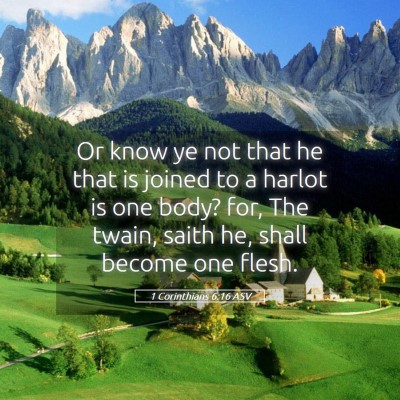 Picture 05 - 1 Corinthians 6:16 ASV - Or know ye not that he that is joined to a harlot - Bible Verse Picture