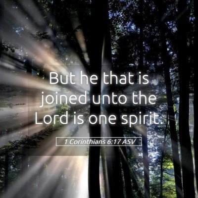 Picture 05 - 1 Corinthians 6:17 ASV - But he that is joined unto the Lord is one - Bible Verse Picture