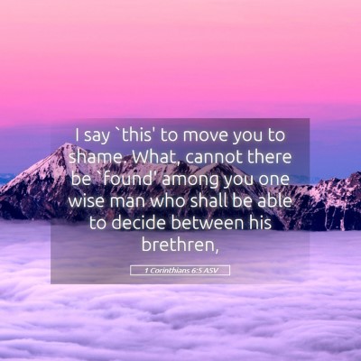 Picture 05 - 1 Corinthians 6:5 ASV - I say `this' to move you to shame. What, cannot - Bible Verse Picture