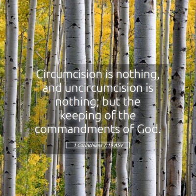 Picture 05 - 1 Corinthians 7:19 ASV - Circumcision is nothing, and uncircumcision is - Bible Verse Picture