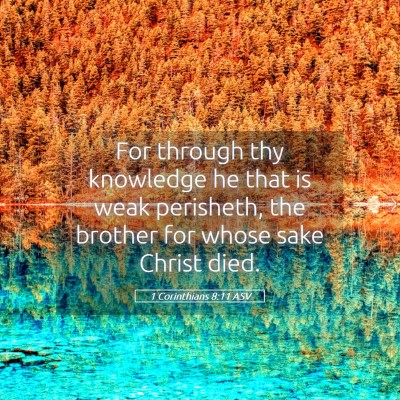 Picture 05 - 1 Corinthians 8:11 ASV - For through thy knowledge he that is weak - Bible Verse Picture