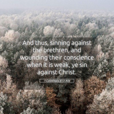 Picture 05 - 1 Corinthians 8:12 ASV - And thus, sinning against the brethren, and - Bible Verse Picture
