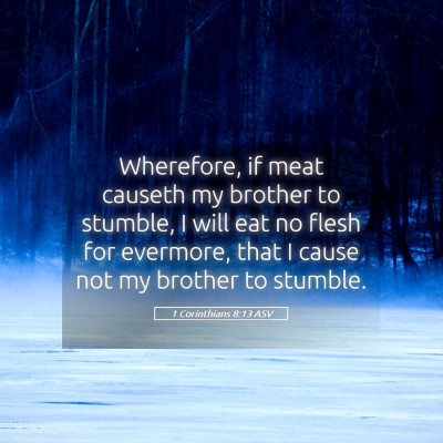 Picture 05 - 1 Corinthians 8:13 ASV - Wherefore, if meat causeth my brother to stumble, - Bible Verse Picture