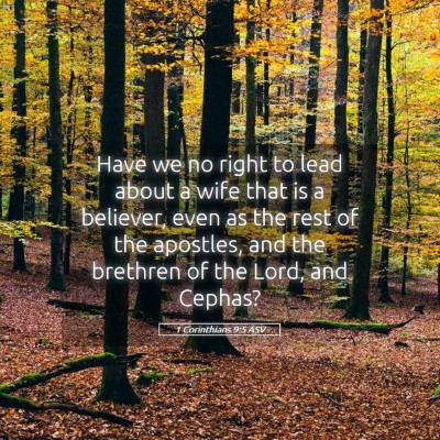 Picture 05 - 1 Corinthians 9:5 ASV - Have we no right to lead about a wife that is a - Bible Verse Picture
